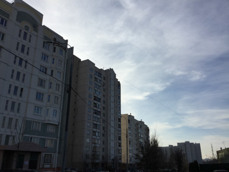 449x337  45 KB. Big one: 3264x2448  2062 KB