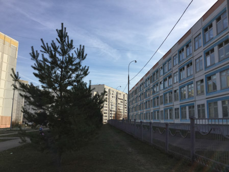 449x337  48 KB. Big one: 3264x2448  2573 KB