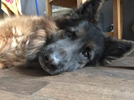 449x337  52 KB. Big one: 1280x960  545 KB