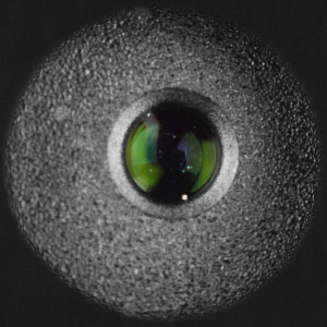 300x300  37 KB. Big one: 904x904  396 KB