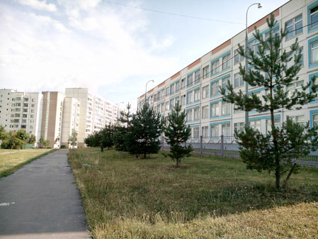 449x337  52 KB. Big one: 4096x3072  4406 KB