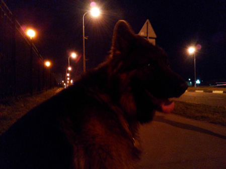 449x337  46 KB. Big one: 4096x3072  2775 KB