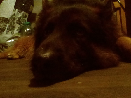 449x337  45 KB. Big one: 2048x1536  538 KB