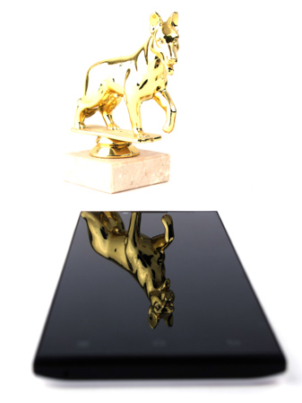 337x449  46 KB. Big one: 1125x1499  488 KB