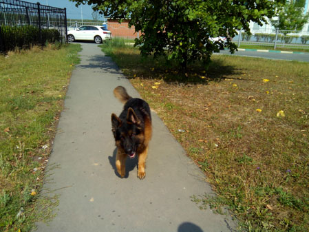 449x337  58 KB. Big one: 4160x3120  4718 KB