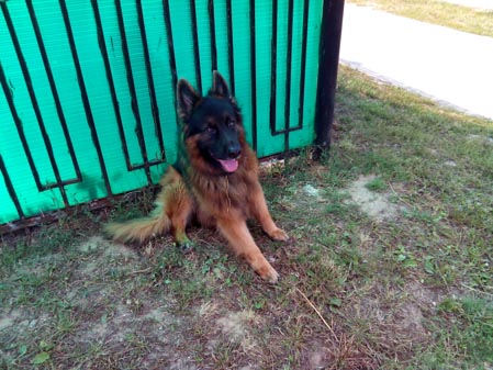 449x337  51 KB. Big one: 4160x3120  4669 KB