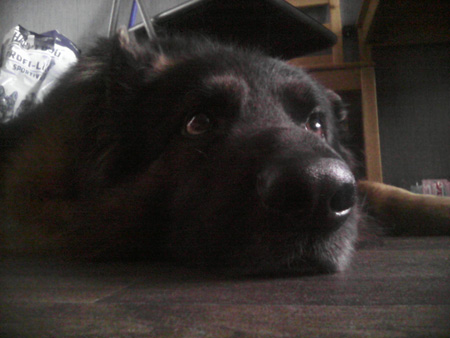 450x338  49 KB. Big one: 2560x1920  471 KB