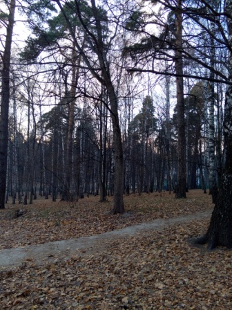 336x448  107 KB. Big one: 3936x5248  12634 KB