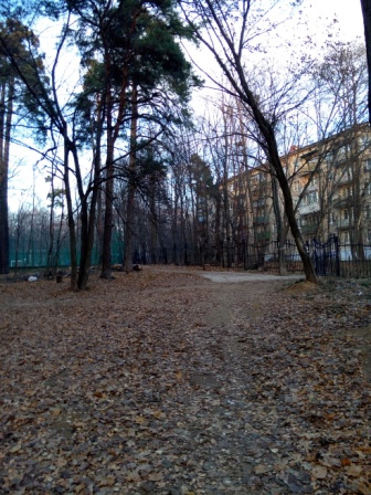 336x448  108 KB. Big one: 3936x5248  11189 KB