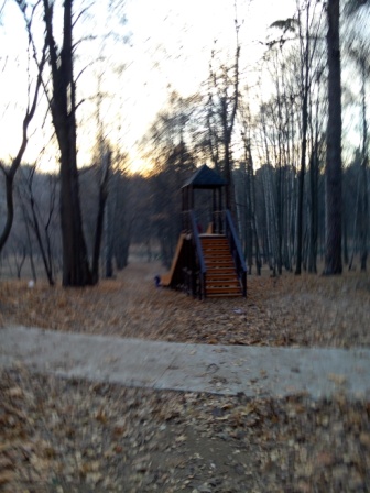 336x448  74 KB. Big one: 3936x5248  6287 KB