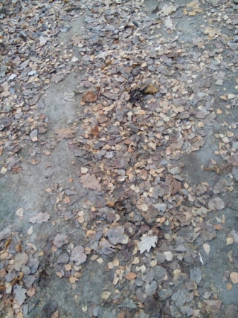 336x448  101 KB. Big one: 3936x5248  7627 KB