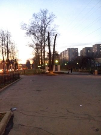 336x448  53 KB. Big one: 3936x5248  6531 KB