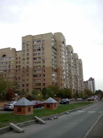 338x450  58 KB. Big one: 2448x3264  1513 KB