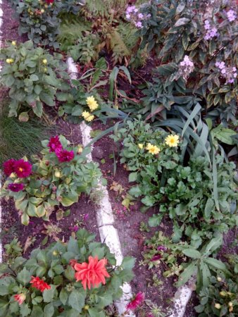 338x450  79 KB. Big one: 2448x3264  4021 KB