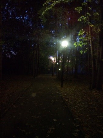 338x450  51 KB. Big one: 2448x3264  1338 KB