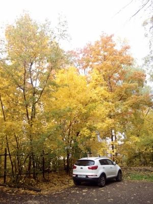 300x399  33 KB. Big one: 2448x3264  3060 KB