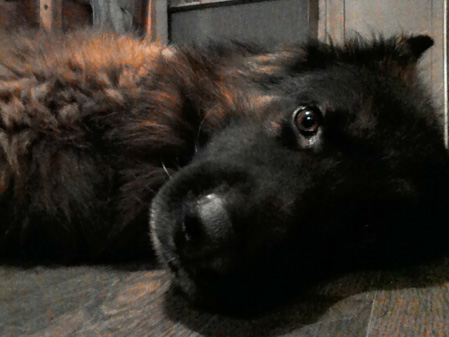 449x337  54 KB. Big one: 1600x1200  640 KB