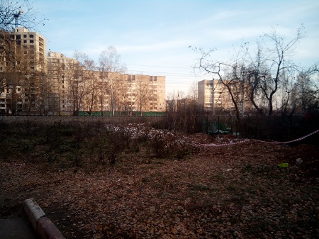 450x337  65 KB. Big one: 3264x2448  2475 KB