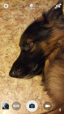 253x449  56 KB. Big one: 843x1499  413 KB