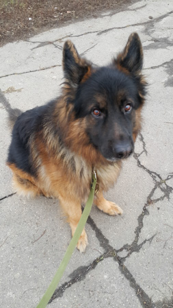 253x449  56 KB. Big one: 2988x5312  5522 KB