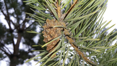 449x253  49 KB. Big one: 5312x2988  5756 KB