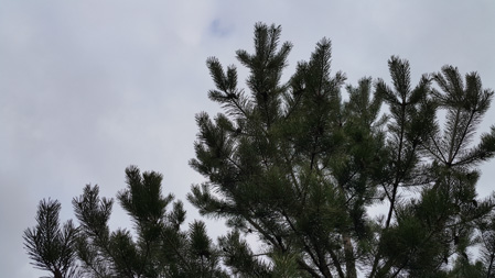 449x253  51 KB. Big one: 5312x2988  6391 KB