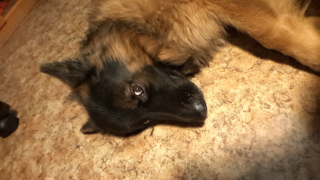 449x253  55 KB. Big one: 2560x1440  1094 KB