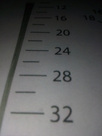 336x448  33 KB. Big one: 3120x4160  2106 KB