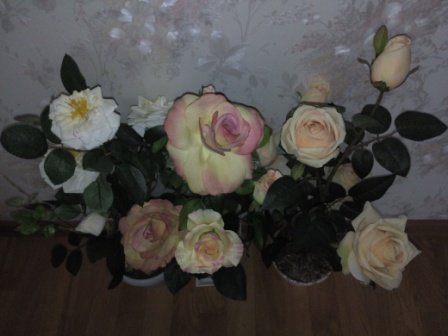 448x336  52 KB. Big one: 4160x3120  3634 KB