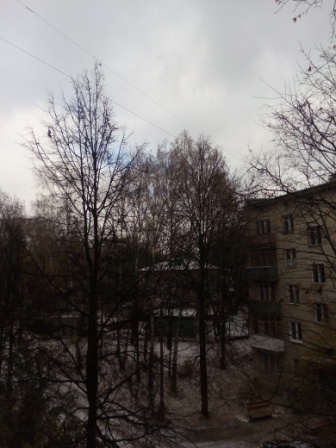 336x448  64 KB. Big one: 3120x4160  4055 KB