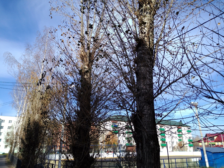 450x338  257 KB. Big one: 4160x3120  7444 KB