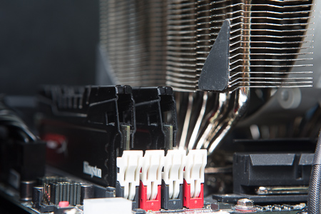 450x300  125 KB. Big one: 1500x1000  657 KB