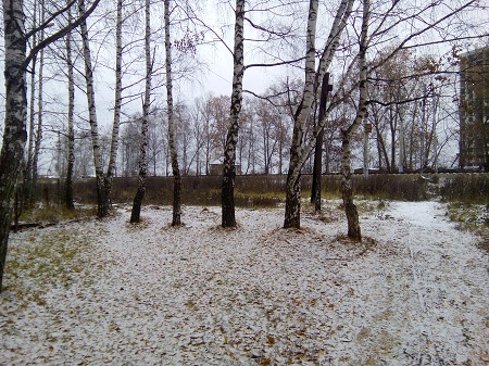 450x337  103 KB. Big one: 4160x3120  6743 KB