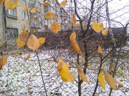 450x337  113 KB. Big one: 4160x3120  6474 KB