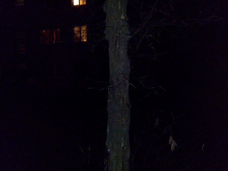 450x337  27 KB. Big one: 4160x3120  2865 KB