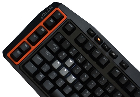 450x314  66 KB. Big one: 1500x1047  262 KB