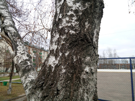 450x338  186 KB. Big one: 4160x3120  3210 KB