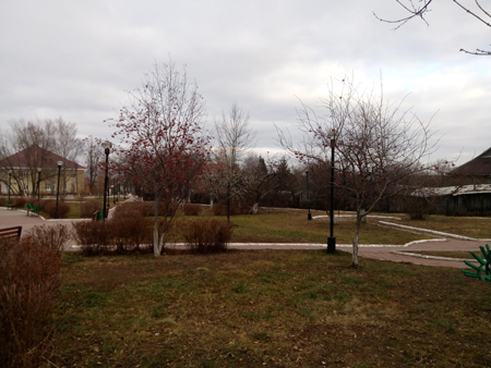 450x338  144 KB. Big one: 4160x3120  2199 KB