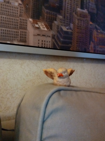 338x450  126 KB. Big one: 1920x2560  871 KB