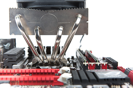 450x300  105 KB. Big one: 1500x1000  382 KB