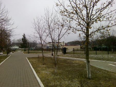 450x338  197 KB. Big one: 3264x2448  1405 KB