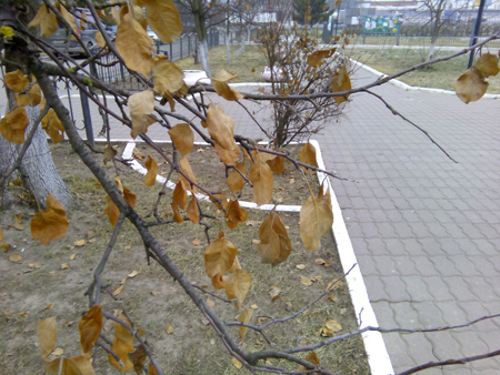 450x338  208 KB. Big one: 3264x2448  1248 KB