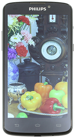 245x450  144 KB. Big one: 815x1500  803 KB