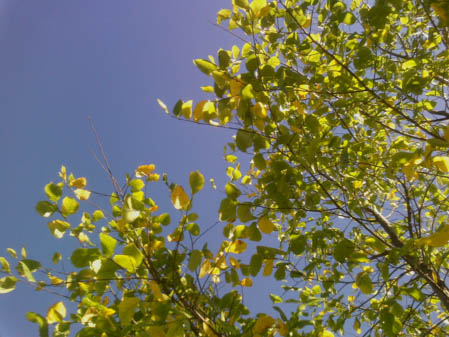 449x337  50 KB. Big one: 4096x3072  4497 KB