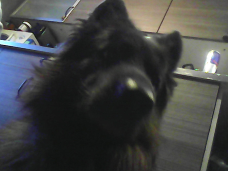 449x337  58 KB. Big one: 3264x2448  930 KB