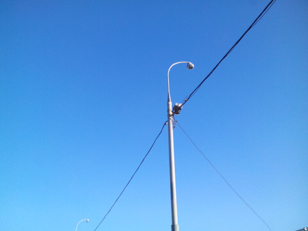 449x337  51 KB. Big one: 3264x2448  1686 KB