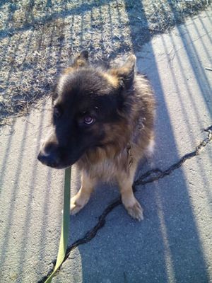 300x400  36 KB. Big one: 2448x3264  3074 KB