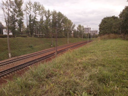 450x338  49 KB. Big one: 4160x3120  2413 KB