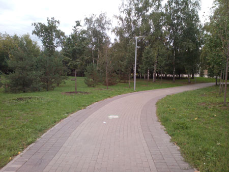 450x338  42 KB. Big one: 4160x3120  2135 KB