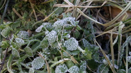 450x253  50 KB. Big one: 3840x2160  1116 KB